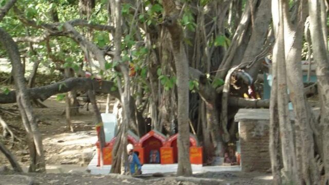 pic1-Sagar.jpeg