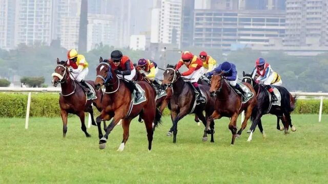 Horse_Racing.webp.jpeg